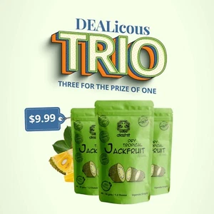 Dried Jackfruit Unsweetened Dehydrated Jackfruit, Healthy Tropical Snack, 3 Bags - Picture 1 of 11