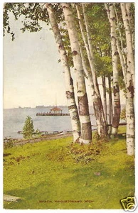 FOTO POSTAL ANTIGUA Weguetonsing MI Beach LAKE Tree 1908 - Imagen 1 de 2