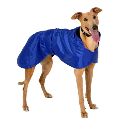 Windhund Regenmantel - Greyhound Galgo Whippet Windhundmantel - Blau  - Bild 1 von 2