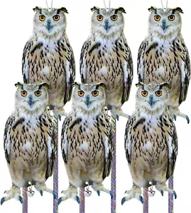 6 Stück Kunststoff Eule, um Taube falsche Eule zu erschrecken, um Eichhörnchen Specht fernzuhalten - Bild 1 von 5