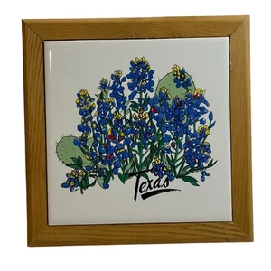 Placa de remache de azulejos de cerámica enmarcada a mano Texas Bluebonnets 7x7 - Imagen 1 de 9