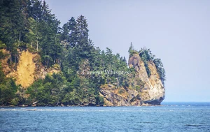 Set of 5 "Pillar Point" (Washington) Greeting Cards - FREE SHIPPING - Picture 1 of 2