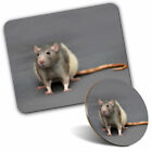Mouse Mat & Coaster Set - Cute Fancy Rat Rodent Pet  #14158