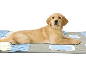 Dog Sniffing Carpet Sniffing Lawn Dog Pollution-Free Toys Promote Natural Forage - Picture 1 of 6