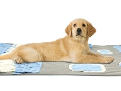 Dog Sniffing Carpet Sniffing Lawn Dog Pollution-Free Toys Promote Natural Forage - Image 1 of 4