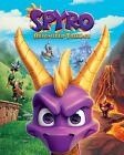Large Gaming Poster 40x50 cm 16x20 inch New Spyro Game Cover Art