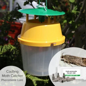 Moth Catcher Trap with 3 x Cydia pomonella (Codling Moth) Lure - Picture 1 of 5