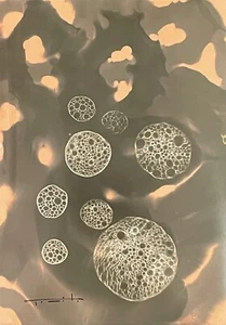Tonito Original art Chemigram.KODAK Silver RC Paper.Alternative photography 35 - Picture 1 of 2