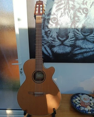 Takamine P3FCN Electric Acoustic Guitar (Made In Japan). With Original Hard Case - Image 1 of 4