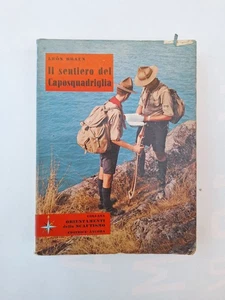 Löwe Braun Der Weg des Staffelführers Pfadfinder Pfadfinder 1969 II und noch - Bild 1 von 10