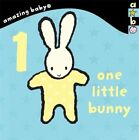 UK/US Books Dodd, Emma - 1 Little Bunny: Amazing Baby
