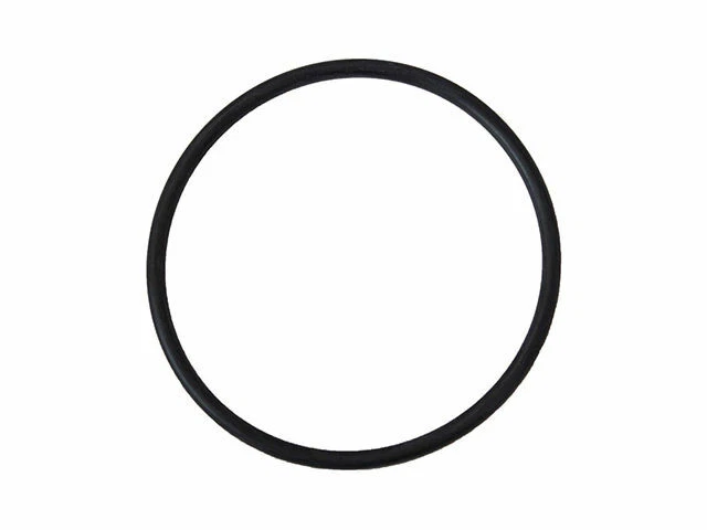 Уплотнительное кольцо на выходе воды для 2005-2010 Ford Mustang 4,0 л V6 2006 2007 2008 F388YC - Изображение 1 из 1