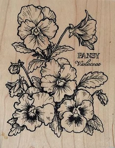 PSX Botanical Flower K774 Pansy Rubber Stamp Pansies Violaceae Floral 3.5 x 4.5 - Picture 1 of 8