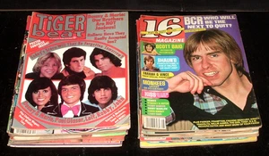 LQQK 17 vintage 1970s TIGER BEAT & 16 MAGAZINES nostalgic teen stars - Picture 1 of 22