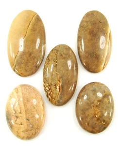 107,70 ct natürlicher Bild Jaspis loser Edelstein 24-33 mm Cabochon 5 Stck. Lot-1063 - Bild 1 von 3