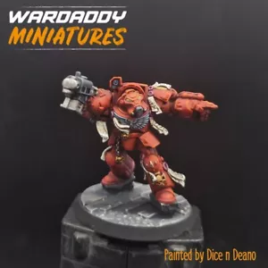 Pro Painted Warhammer 40k OOP blood angels Terminator (space hulk) Game workshop - Picture 1 of 3