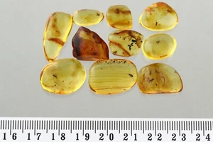 LOTTO 10 FORMICHE E RAGNI FOSSILI pietre originali AMBRA BALTICA 8,9 g 241008-1 - Foto 1 di 6