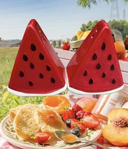 Rebanadas de cerámica de sandía agitadores de sal y pimienta de verano picnic tema de barbacoa - Imagen 1 de 5