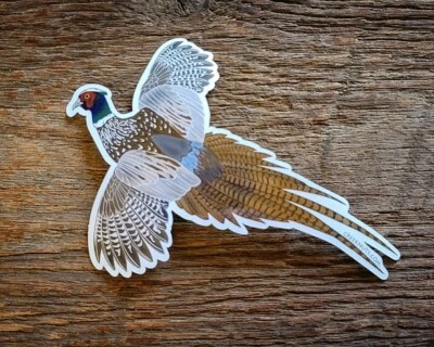 FLYING PHEASANT Sticker Decal Upland Hunting Birds  - Image 1 of 3