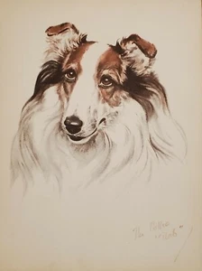 Diana Thorne's Dogs 1944 Collie Lithograph Print Portrait - Picture 1 of 4