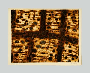 Zoran MUSIC - "Stones on Carse", 1958 - Acquaforte, 25 x 32.5 cm - Picture 1 of 7