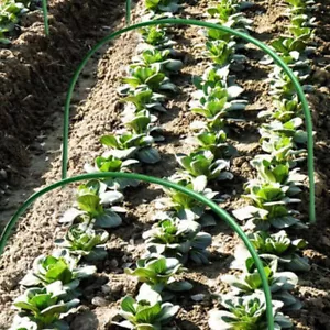 10X Greenhouse Plant Hoop Grow Garden Tunnel Hoop Support Hoops Garden Stakes - Picture 1 of 17