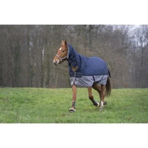 Ekkia Equi-Theme 350g, Horse Turnout Rug, Combo Fixed Neck, Tyrex 600 Denier - Picture 1 of 1