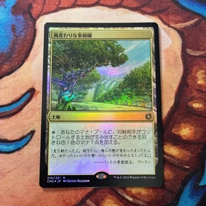 MTG Magic the Gathering Foil Conspiracy Contest for the Throne Japanese Exotic - Picture 1 of 2