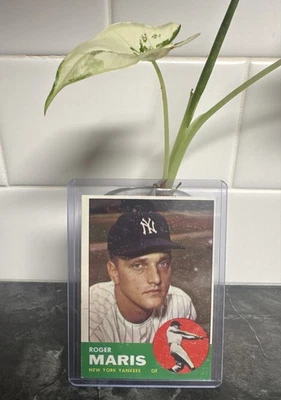 1963 Topps - Roger Maris #120 - Image 1 of 2