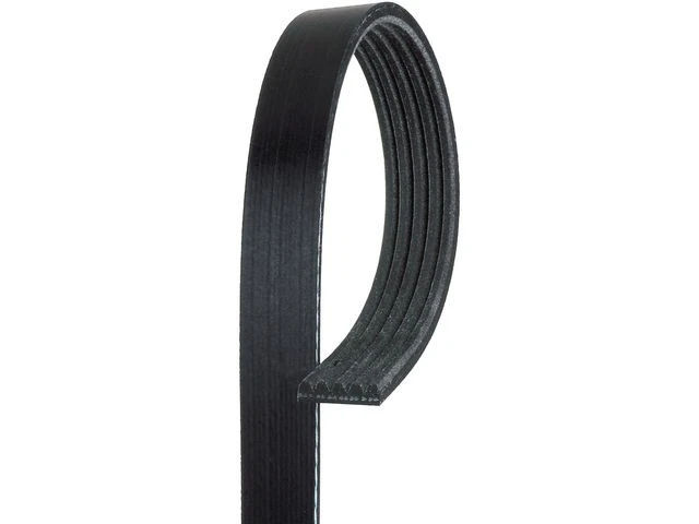 Cinturón de aire acondicionado multi costilla para BMW 740i 1993-1995 4,0 L V8 GAS 1994 KP961GS Foto 1 de 1