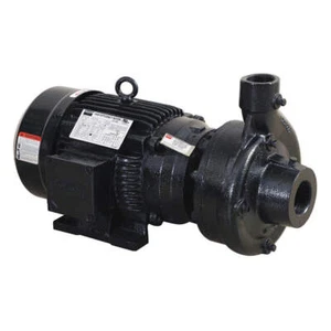 DAYTON 55JJ39 Centrifugal Pump,3 Ph, to 240/480VAC 55JJ39 - Picture 1 of 2