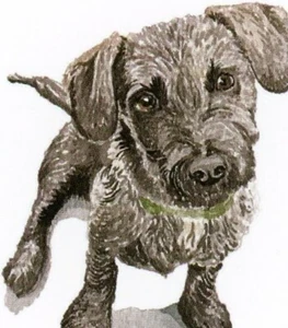 Roo, 2020, von Wallace May --POSTKARTE - Bild 1 von 1