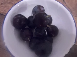 English grown grafted PLUM TREES bare root 4ft November delivery - Picture 1 of 12