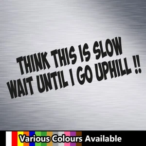 Think This is Slow Funny Vinyl Decal Sticker - Car Window Bumper - Picture 1 of 2