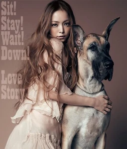 Namie Amuro Sit! Stay! Wait! Down!/Love Story JAPAN CD with DVD Edition - Picture 1 of 1