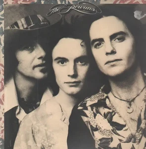 The Rowans NEAR MINT Asylum Vinyl LP - Bild 1 von 1