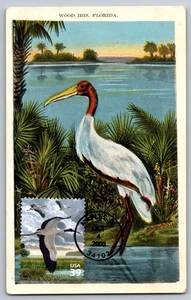 #4099c Southern Florida Wetland Wood Stork FDC Maxi Card - Picture 1 of 2