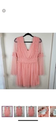Love Riche Pink Mesh Polka Dot Mini Dress Sz Large - Image 1 of 4
