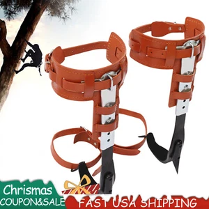 Tree Climbing Spikes Adjustable Height Pole Climbing Spurs Steel w/Climbing Gear - Imagen 1 de 12