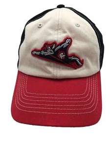 Richmond Flying Squirrels Baseball Cap Hat Fan Favorite Minor League Strapback - Imagen 1 de 10