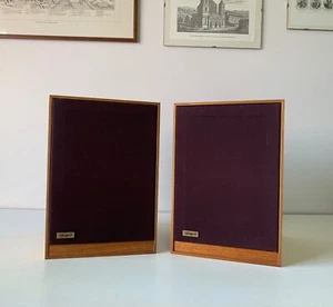 VINTAGE TANGENT ACOUSTICS RS-2 - Picture 1 of 12