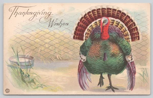 Postal Deseos de Acción de Gracias - Colorido pavo masculino Meleagris gallopavo - Imagen 1 de 2