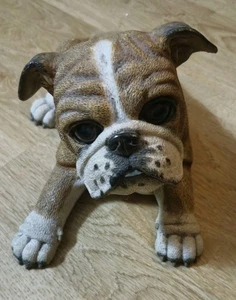 Hundeschmuck - Bild 1 von 5