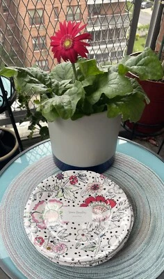 ¡NUEVO CON ETIQUETAS! "Plato con acento de melamina Vera Bradley BLUSH FLORAL 8,5"" elegante comedor al aire libre" Foto 1 de 4