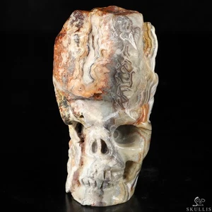 Gemstone 4.1" Red Crazy Lace Agate Hand Carved Crystal Skull Fine Art Sculpture - Picture 1 of 8