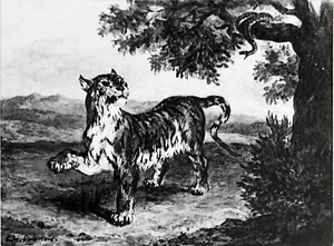 LE TIGRE et LE SERPENT - Gravure du 19eme siècle (d'après Delacroix) - Picture 1 of 2