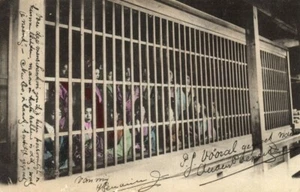 Japón, TOKIO, Yoshiwara, prostitutas en exhibición, prostitución (1909) postal - Imagen 1 de 2