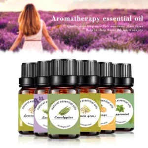 Pure Natural Plant Essential Organic Skin Oils Set Lemongrass Mint Eucalyptus La - Picture 1 of 13