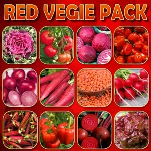 RED VEGETABLES SEED PACK-12 PACKETS-THAI-ASIAN-CHINESE-COOKING GARDEN PLANTS - Picture 1 of 15