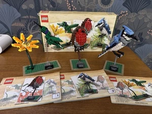 Lego 21301: Birds. Complete with box and instructions. EXC CONDITION. RARE. - Picture 1 of 10